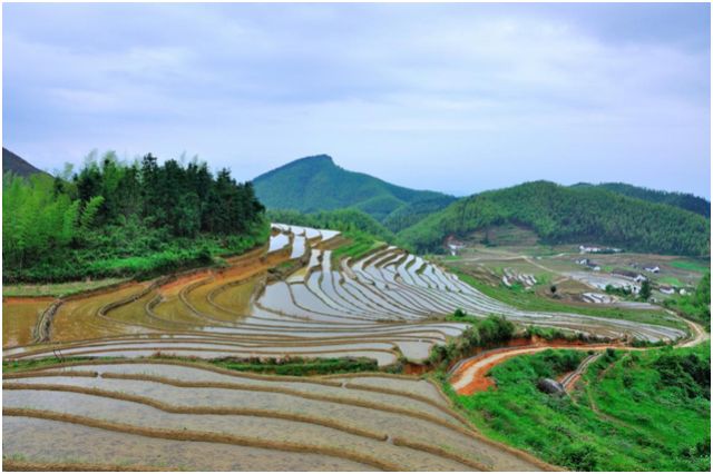 微信圖片_20180803090854.jpg 微信圖片_20180803090854.jpg