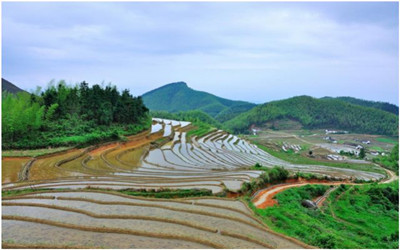 中標(biāo)| 北京泰豪中標(biāo)崇義縣河長制數(shù)據(jù)信息平臺(tái)項(xiàng)目